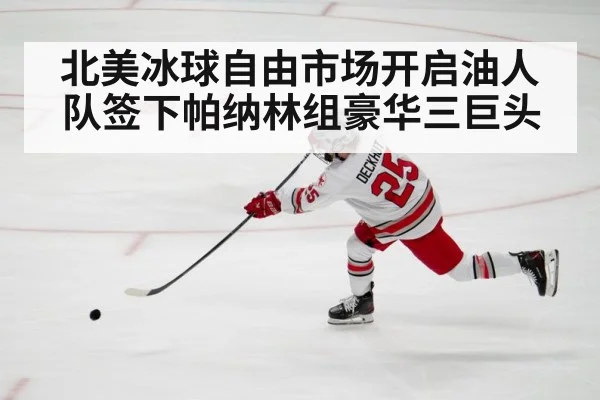 北美冰球自由市场开启油人队签下帕纳林组豪华三巨头